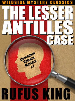 The Lesser Antilles Case: A Lt. Valcour Mystery #7