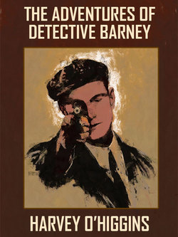 The Adventures of Detective Barney