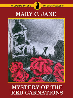 Mystery of the Red Carnations