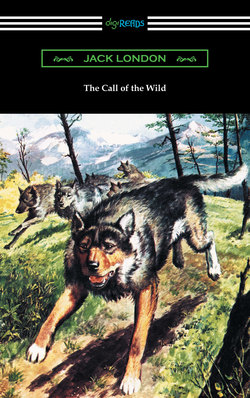 The Call of the Wild