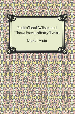 Puddn'head Wilson and Those Extraordinary Twins