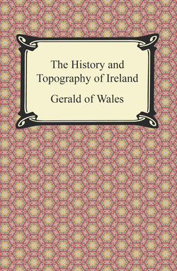The History and Topography of Ireland