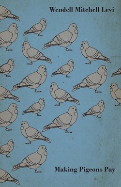 Making Pigeons Pay - A Manual of Practical Information on the Management, Selection, Breeding, Feeding, and Marketing of Pigeons