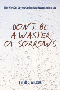 Don’t Be a Waster of Sorrows