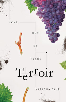Terroir