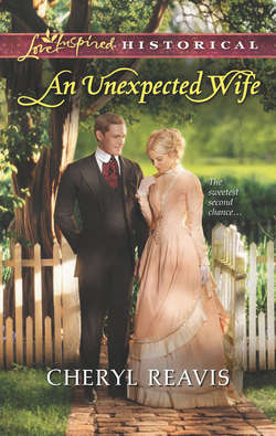 An Unexpected Wife