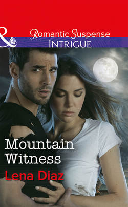 Mountain Witness