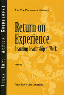 Return on Experience