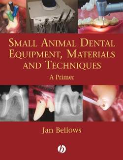 Small Animal Dental Equipment, Materials and Techniques