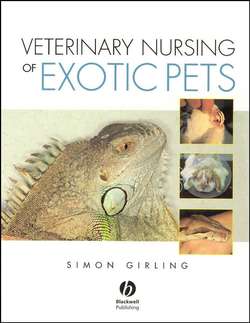 Veterinary Nursing of Exotic Pets