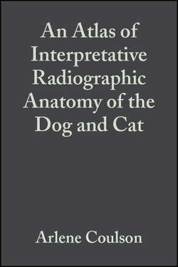 An Atlas of Interpretative Radiographic Anatomy of the Dog and Cat