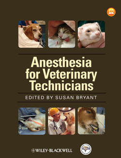 Anesthesia for Veterinary Technicians