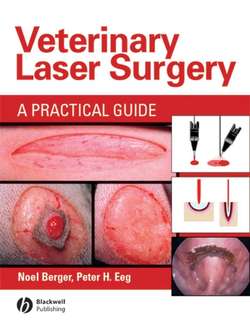 Veterinary Laser Surgery