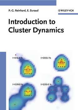 Introduction to Cluster Dynamics