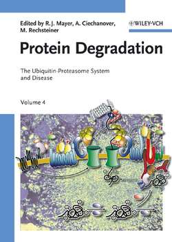 Protein Degradation