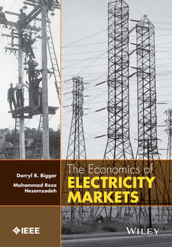 The Economics of Electricity Markets