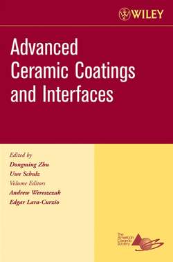 Advanced Ceramic Coatings and Interfaces