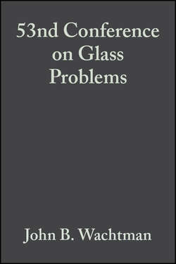 53nd Conference on Glass Problems