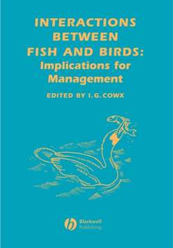 Interactions Between Fish and Birds