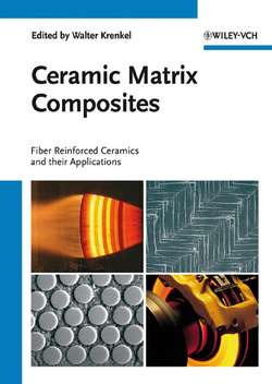 Ceramic Matrix Composites