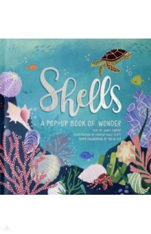 Shells. A Pop-Up Book of Wonder