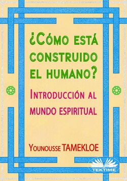 ¿Cómo Está Construido El Humano?