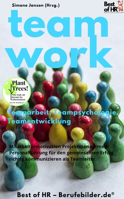 Teamwork Teamarbeit Teampsychologie Teamentwicklung