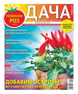 Дача Pressa.ru 21-2020