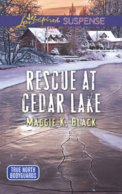 Rescue At Cedar Lake