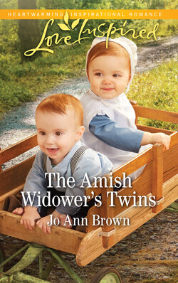 The Amish Widower's Twins