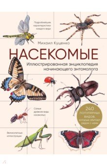 Насекомые. Иллюстрированная энциклопедия начинающего энтомолога. 240 популярных видов