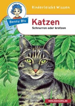 Benny Blu - Katzen