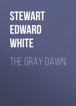 The Gray Dawn