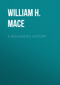 A Beginner's History