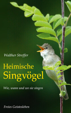 Heimische Singvögel