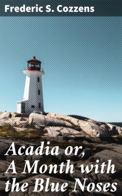 Acadia or, A Month with the Blue Noses