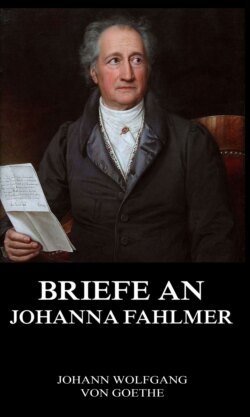 Briefe an Johanna Fahlmer