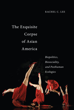 The Exquisite Corpse of Asian America