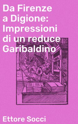 Da Firenze a Digione: Impressioni di un reduce Garibaldino