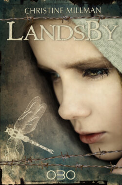 Landsby