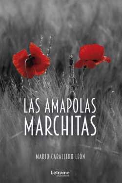 Las amapolas marchitas