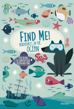 Find Me! Adventures in the Ocean