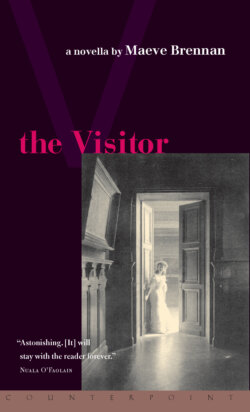 The Visitor