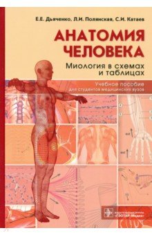 Анатомия человека. Миология в схемах и таблицах