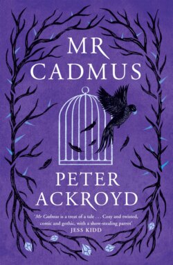 Mr Cadmus