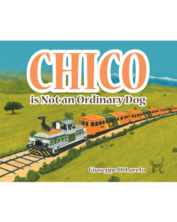 Chico is Not an Ordinary Dog