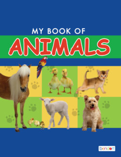 My Book of Animals