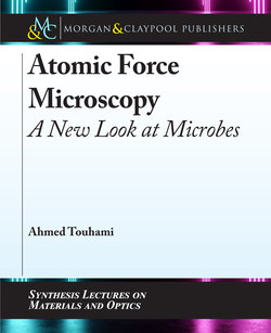 Atomic Force Microscopy