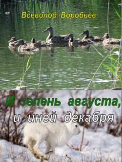 И зелень августа, и иней декабря…