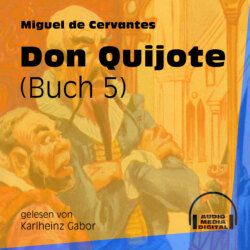 Don Quijote, Buch 5 (Ungekürzt)